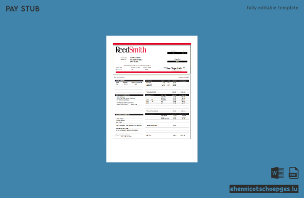 USA Reed Smith LLP Anwaltskanzlei Gehaltsabrechnungsbeispiel Vorschau